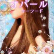 ヒメ日記 2025/10/05 09:00 投稿 みほ 柏人妻花壇