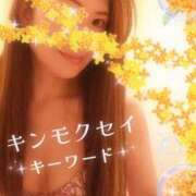 ヒメ日記 2025/10/12 09:02 投稿 みほ 柏人妻花壇