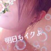 ヒメ日記 2025/10/12 20:49 投稿 みほ 柏人妻花壇