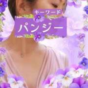 ヒメ日記 2025/10/18 09:00 投稿 みほ 柏人妻花壇