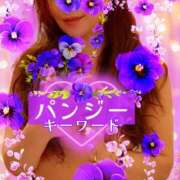 ヒメ日記 2025/10/19 09:00 投稿 みほ 柏人妻花壇