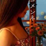 ヒメ日記 2025/11/13 19:02 投稿 みほ 柏人妻花壇