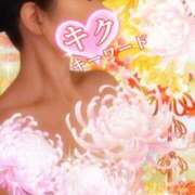 ヒメ日記 2025/11/29 09:00 投稿 みほ 柏人妻花壇