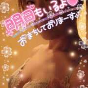 ヒメ日記 2025/11/29 21:07 投稿 みほ 柏人妻花壇