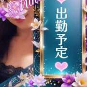 みほ 出勤予定❤️ 柏人妻花壇