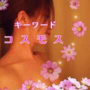 みほ 日記ーワード❤️ 柏人妻花壇