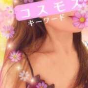 みほ 日記ーワード❤️ 柏人妻花壇