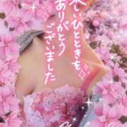 ヒメ日記 2025/12/15 21:06 投稿 みほ 柏人妻花壇