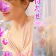 ヒメ日記 2026/01/23 18:01 投稿 みほ 柏人妻花壇