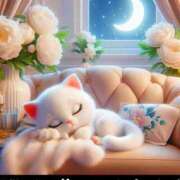 ヒメ日記 2026/02/06 20:18 投稿 みほ 柏人妻花壇