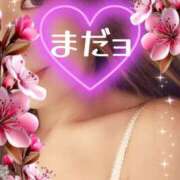 ヒメ日記 2026/02/14 20:57 投稿 みほ 柏人妻花壇