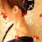 ヒメ日記 2026/02/17 20:53 投稿 みほ 柏人妻花壇