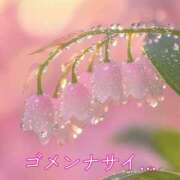 ヒメ日記 2026/02/28 09:30 投稿 みほ 柏人妻花壇