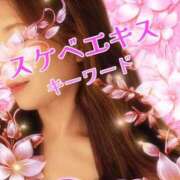 ヒメ日記 2026/03/08 08:45 投稿 みほ 柏人妻花壇