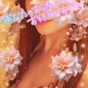 ヒメ日記 2026/03/19 19:30 投稿 みほ 柏人妻花壇