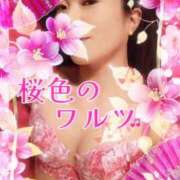 ヒメ日記 2026/04/11 09:01 投稿 みほ 柏人妻花壇