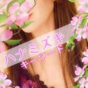 ヒメ日記 2026/04/25 08:45 投稿 みほ 柏人妻花壇