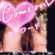 ヒメ日記 2026/04/29 09:02 投稿 みほ 柏人妻花壇