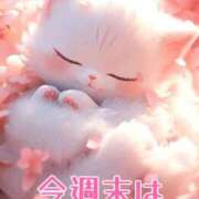 みほ お休みです❤️ 柏人妻花壇
