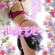 ヒメ日記 2026/08/28 18:01 投稿 みほ 柏人妻花壇
