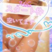 ヒメ日記 2026/09/12 22:22 投稿 みほ 柏人妻花壇