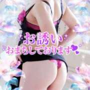 ヒメ日記 2026/09/21 17:28 投稿 みほ 柏人妻花壇