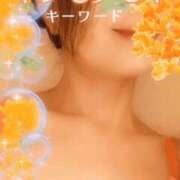 ヒメ日記 2026/09/22 09:01 投稿 みほ 柏人妻花壇