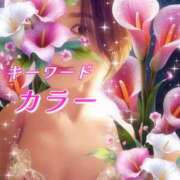 ヒメ日記 2026/10/03 09:02 投稿 みほ 柏人妻花壇