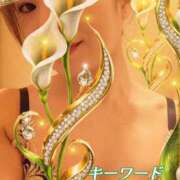 ヒメ日記 2026/10/04 09:01 投稿 みほ 柏人妻花壇