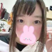 ヒメ日記 2025/03/19 09:40 投稿 せんち 新宿サンキュー