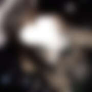 ヒメ日記 2025/09/19 12:30 投稿 そら ビアガーデンカーニバル