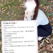 ヒメ日記 2025/03/13 09:33 投稿 美咲ゆめ 四季～SIKI～