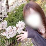 ヒメ日記 2026/04/02 18:33 投稿 美咲ゆめ 四季～SIKI～