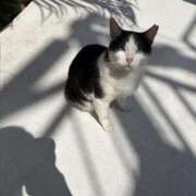 ヒメ日記 2026/04/08 11:33 投稿 美咲ゆめ 四季～SIKI～