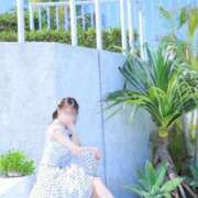 ヒメ日記 2026/06/19 12:03 投稿 美咲ゆめ 四季～SIKI～