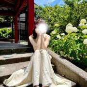 ヒメ日記 2026/08/12 11:27 投稿 羽宮 はぐ 四季～SIKI～