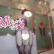 ヒメ日記 2025/03/10 07:28 投稿 すもも One More奥様　厚木店