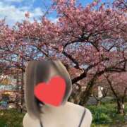 ヒメ日記 2025/03/15 00:38 投稿 すもも One More奥様　厚木店