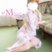 ヒメ日記 2025/04/04 19:48 投稿 すもも One More奥様　厚木店