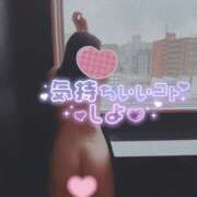 ヒメ日記 2025/09/19 08:47 投稿 すもも One More奥様　厚木店