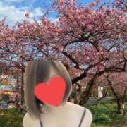 ヒメ日記 2025/11/22 04:37 投稿 すもも One More奥様　厚木店