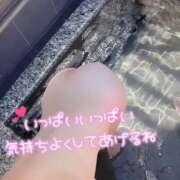 ヒメ日記 2026/08/15 08:41 投稿 すもも One More奥様　厚木店