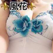 ヒメ日記 2025/02/07 22:17 投稿 風花 Bell.Madonna（ベルマドンナ）