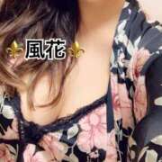 ヒメ日記 2025/02/08 19:17 投稿 風花 Bell.Madonna（ベルマドンナ）