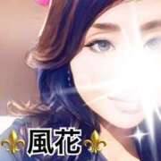 ヒメ日記 2025/03/04 10:17 投稿 風花 Bell.Madonna（ベルマドンナ）