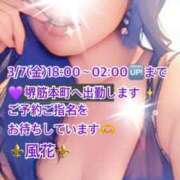 ヒメ日記 2025/03/07 11:07 投稿 風花 Bell.Madonna（ベルマドンナ）