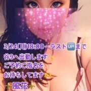 ヒメ日記 2025/03/24 08:27 投稿 風花 Bell.Madonna（ベルマドンナ）