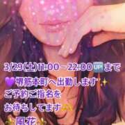 ヒメ日記 2025/03/29 07:27 投稿 風花 Bell.Madonna（ベルマドンナ）