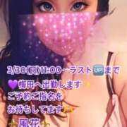 ヒメ日記 2025/03/30 07:27 投稿 風花 Bell.Madonna（ベルマドンナ）