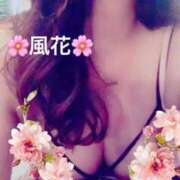 ヒメ日記 2025/04/02 22:17 投稿 風花 Bell.Madonna（ベルマドンナ）